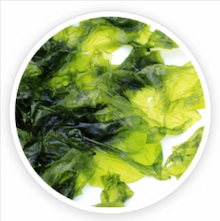 Nori-Yaki-Extract-Powder