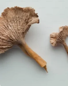 Pygeum-Africanum-Extract